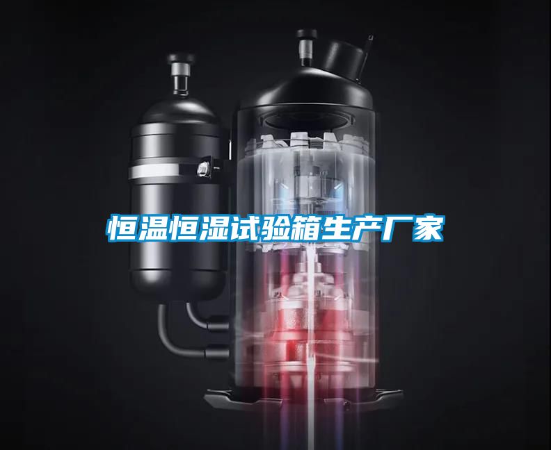 恒溫恒濕試驗箱生產(chǎn)廠家