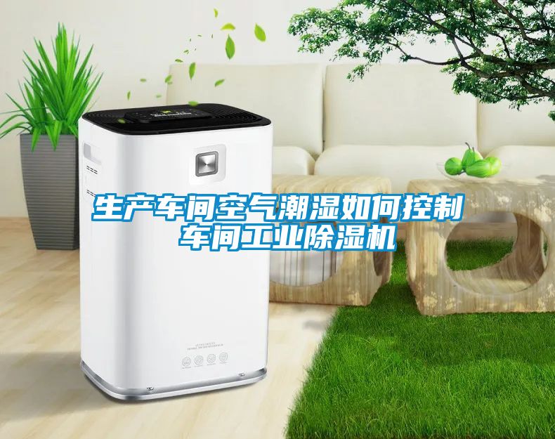 生產(chǎn)車間空氣潮濕如何控制 車間工業(yè)除濕機