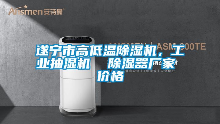 遂寧市高低溫除濕機(jī)，工業(yè)抽濕機(jī)  除濕器廠家 價(jià)格