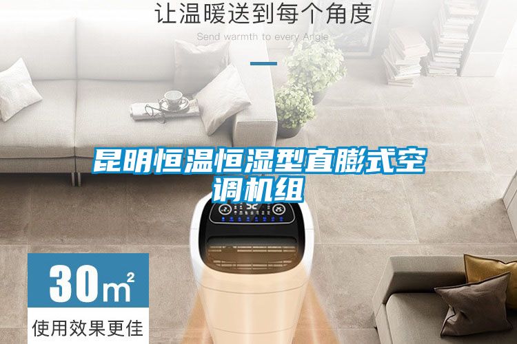 昆明恒溫恒濕型直膨式空調(diào)機組