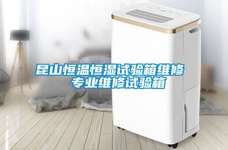 昆山恒溫恒濕試驗箱維修  專業維修試驗箱