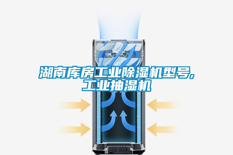 湖南庫(kù)房工業(yè)除濕機(jī)型號(hào),工業(yè)抽濕機(jī)