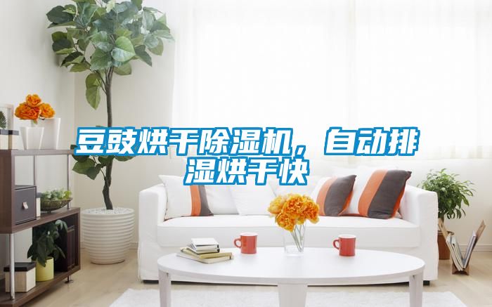 豆豉烘干除濕機(jī)，自動(dòng)排濕烘干快