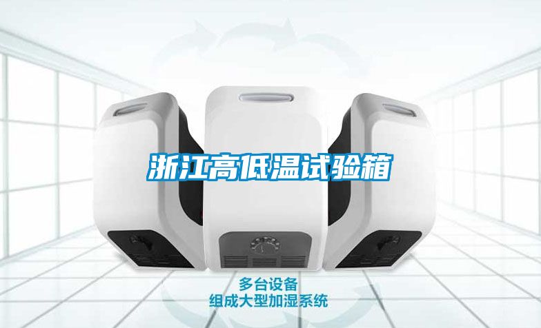 浙江高低溫試驗(yàn)箱