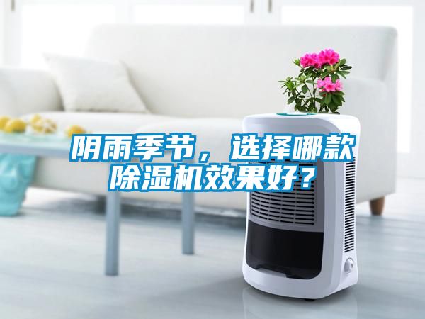 陰雨季節(jié)，選擇哪款除濕機效果好？