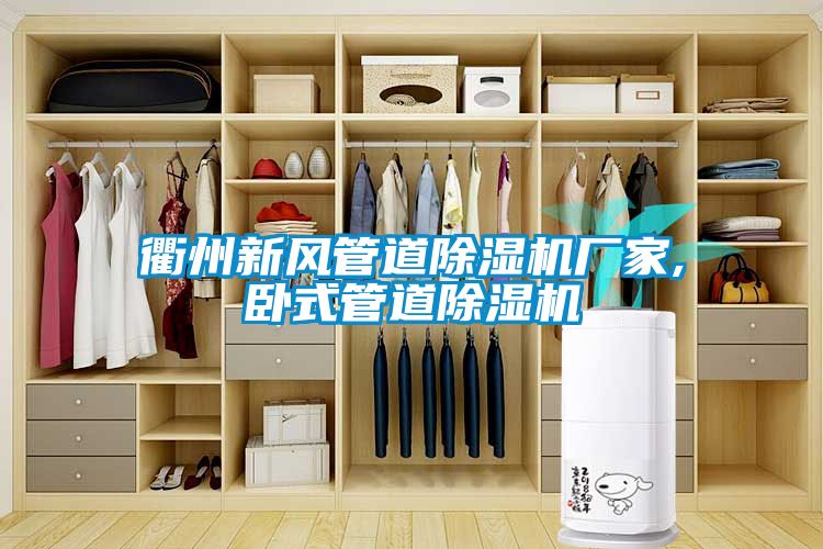 衢州新風(fēng)管道除濕機(jī)廠家,臥式管道除濕機(jī)