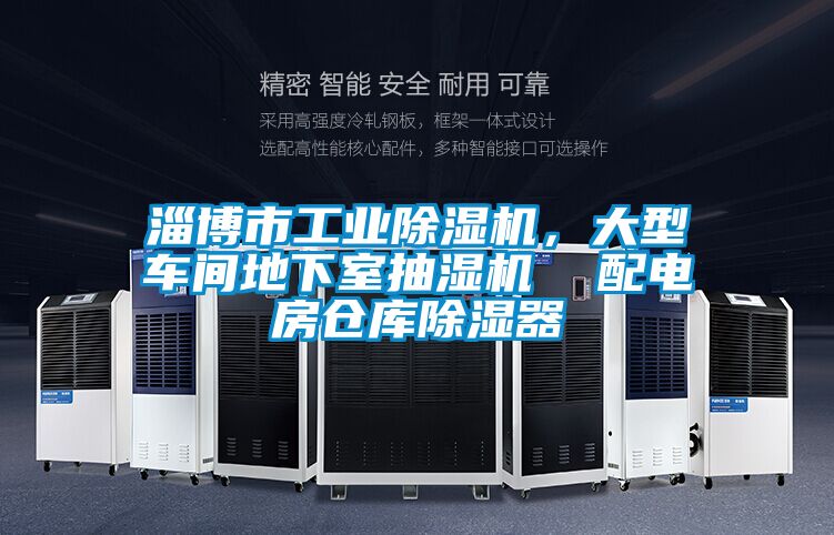 淄博市工業(yè)除濕機，大型車間地下室抽濕機  配電房倉庫除濕器
