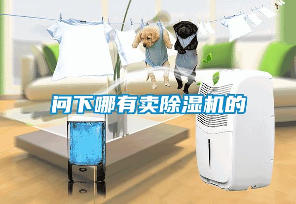 問下哪有賣除濕機(jī)的