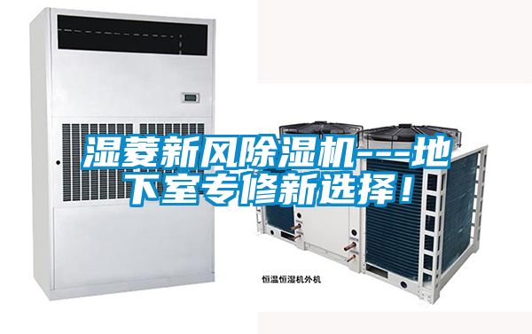 濕菱新風除濕機---地下室專修新選擇！