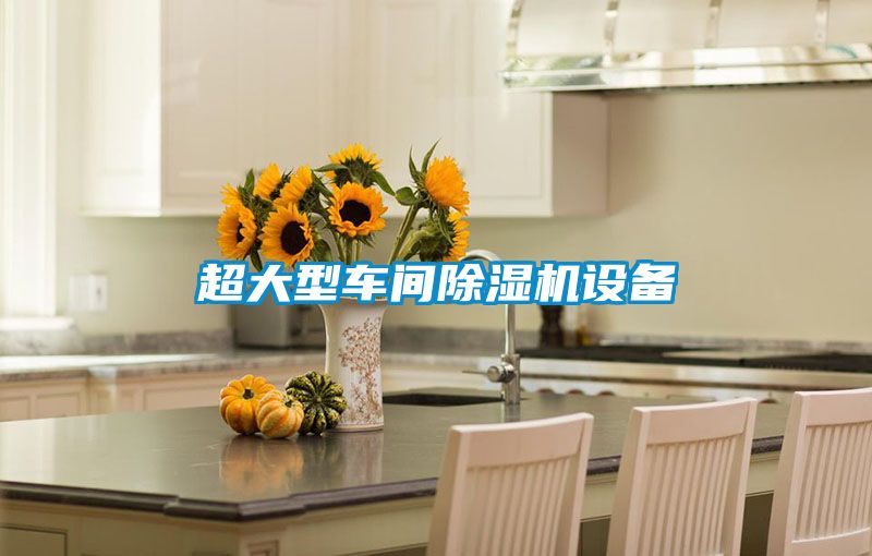 超大型車(chē)間除濕機(jī)設(shè)備