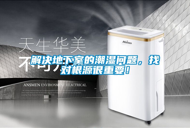 解決地下室的潮濕問題，找對根源很重要！