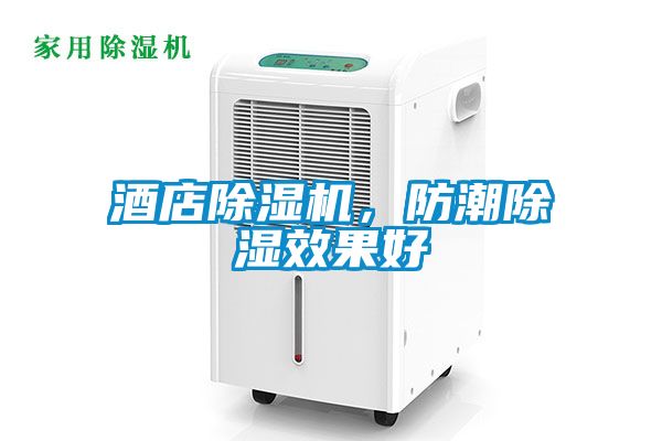 酒店除濕機，防潮除濕效果好