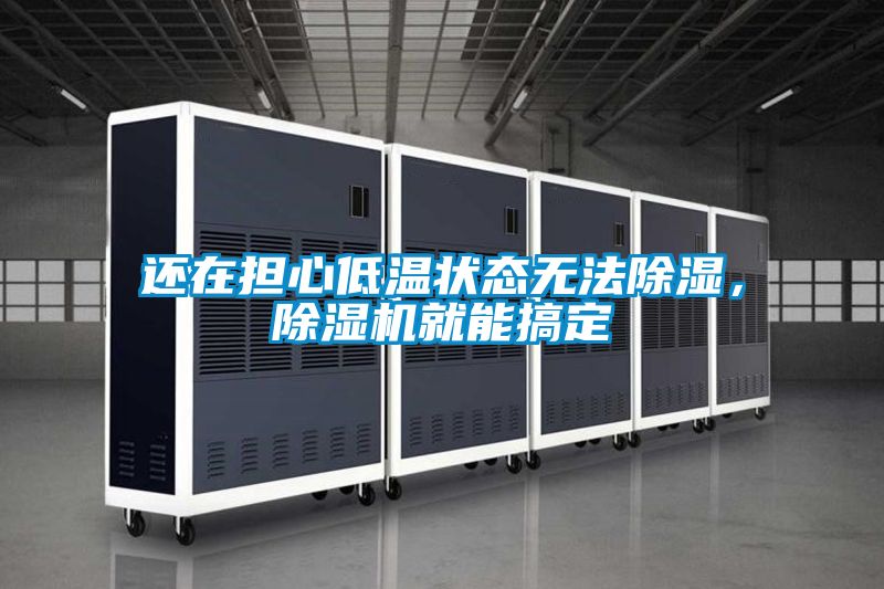 還在擔(dān)心低溫狀態(tài)無(wú)法除濕，除濕機(jī)就能搞定