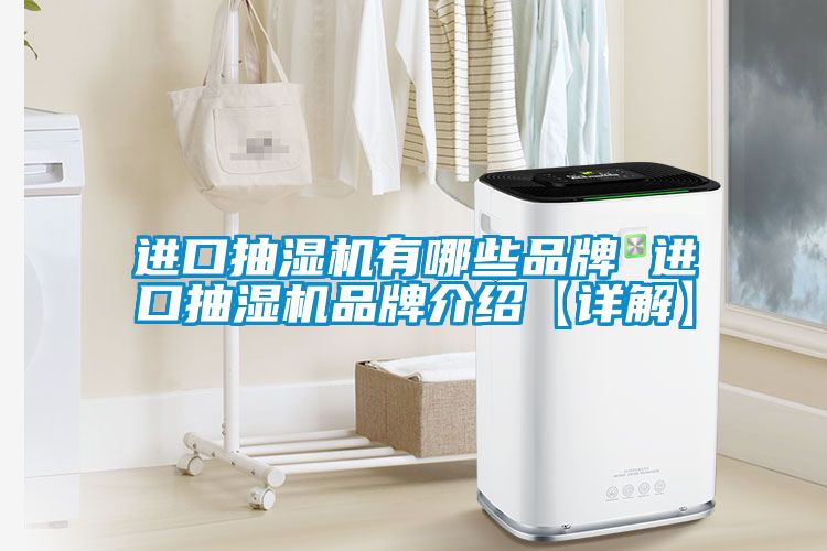 進(jìn)口抽濕機(jī)有哪些品牌 進(jìn)口抽濕機(jī)品牌介紹【詳解】