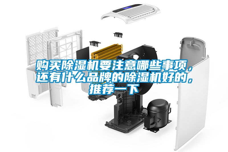 購(gòu)買除濕機(jī)要注意哪些事項(xiàng)，還有什么品牌的除濕機(jī)好的，推薦一下