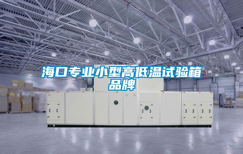 ?？趯I小型高低溫試驗箱品牌