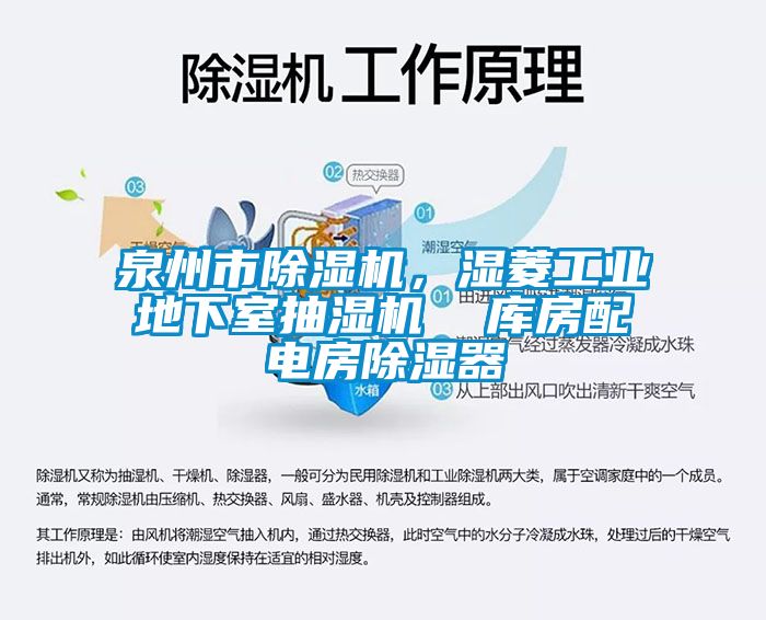 泉州市除濕機，濕菱工業(yè)地下室抽濕機  庫房配電房除濕器