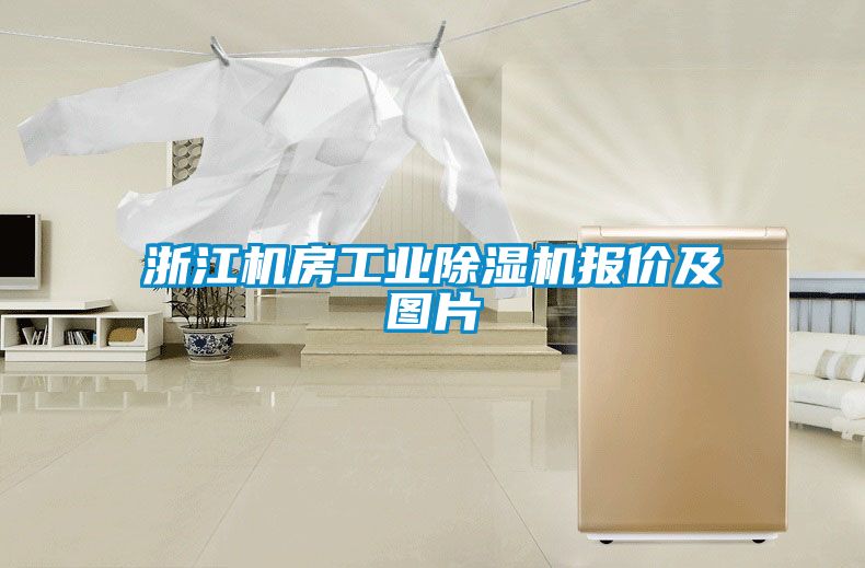 浙江機房工業(yè)除濕機報價及圖片