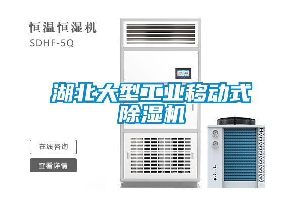 湖北大型工業(yè)移動式除濕機