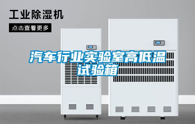 汽車行業(yè)實(shí)驗(yàn)室高低溫試驗(yàn)箱