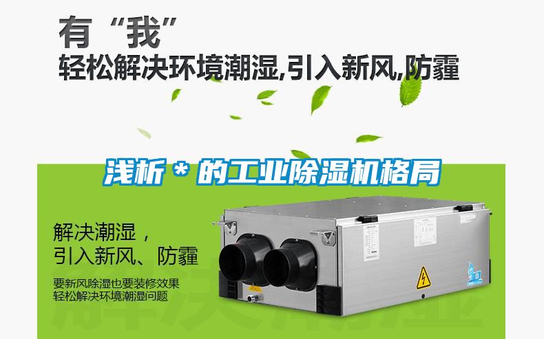 淺析＊的工業(yè)除濕機格局