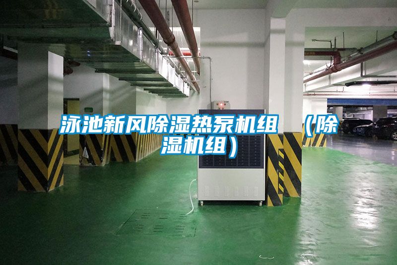 泳池新風(fēng)除濕熱泵機組 （除濕機組）