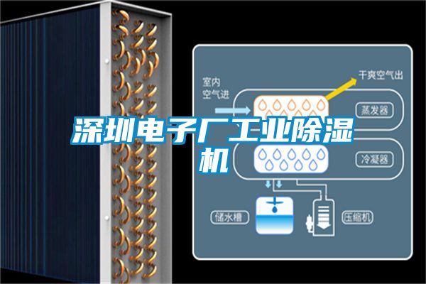 深圳電子廠工業除濕機