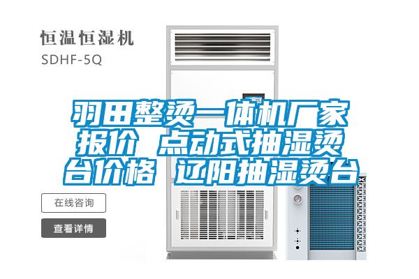 羽田整燙一體機(jī)廠家報價 點(diǎn)動式抽濕燙臺價格 遼陽抽濕燙臺