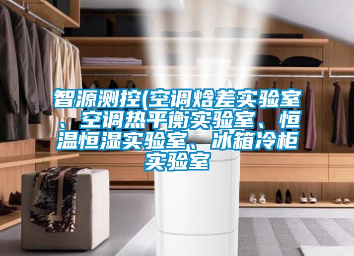 智源測控(空調焓差實驗室、空調熱平衡實驗室、恒溫恒濕實驗室、冰箱冷柜實驗室