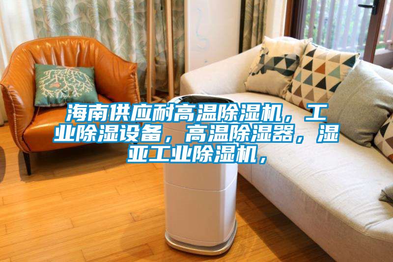 海南供應耐高溫除濕機，工業除濕設備，高溫除濕器，濕亞工業除濕機，