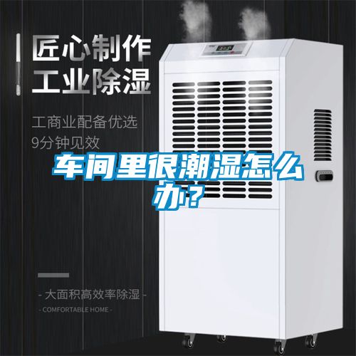 車(chē)間里很潮濕怎么辦？