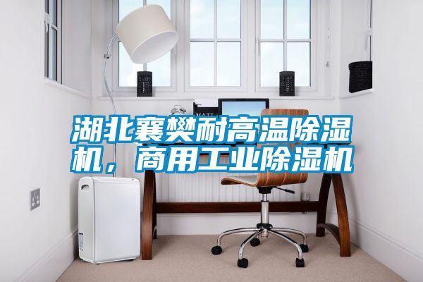 湖北襄樊耐高溫除濕機(jī)，商用工業(yè)除濕機(jī)