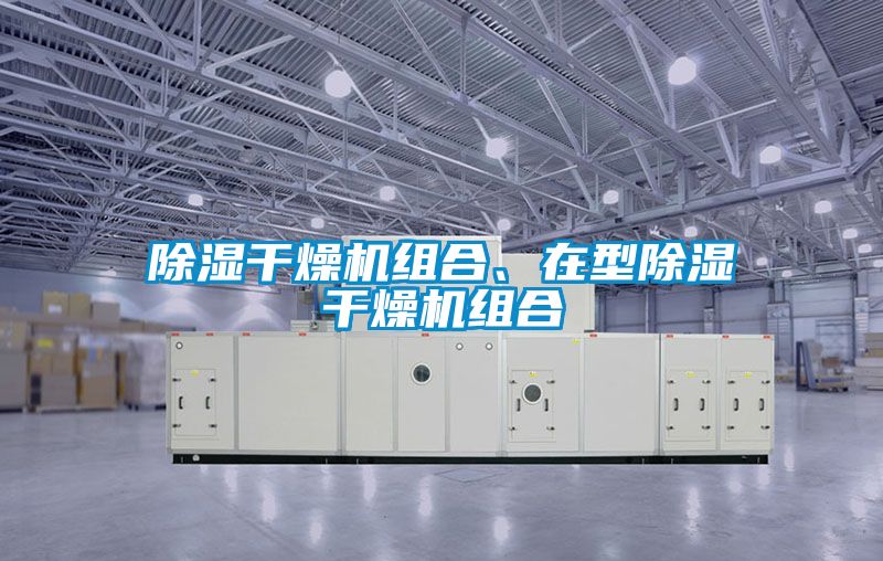除濕干燥機組合、在型除濕干燥機組合