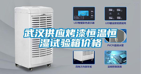 武漢供應烤漆恒溫恒濕試驗箱價格