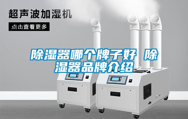 除濕器哪個(gè)牌子好 除濕器品牌介紹