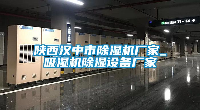 陜西漢中市除濕機(jī)廠(chǎng)家_吸濕機(jī)除濕設(shè)備廠(chǎng)家