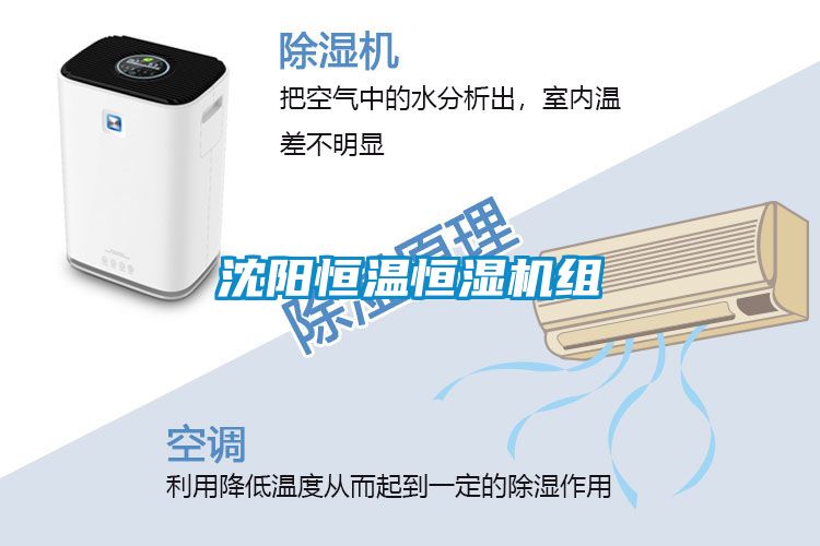 沈陽(yáng)恒溫恒濕機(jī)組