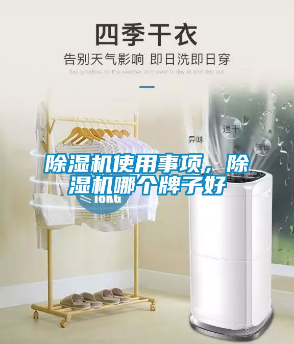 除濕機使用事項，除濕機哪個牌子好