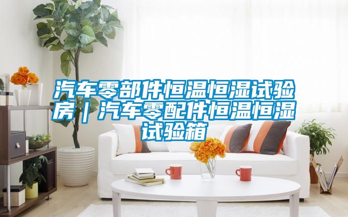 汽車零部件恒溫恒濕試驗房｜汽車零配件恒溫恒濕試驗箱