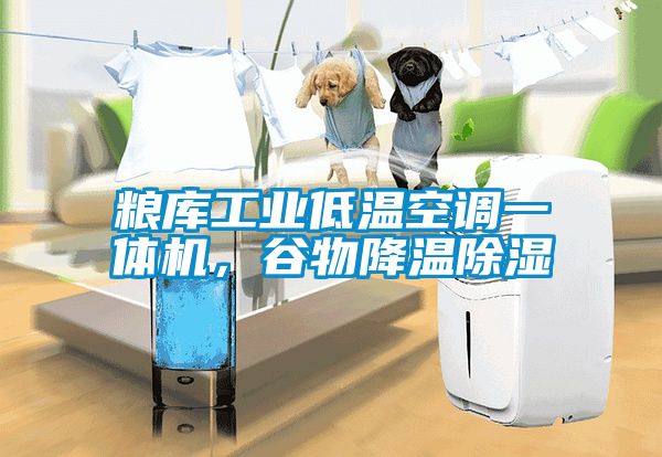 糧庫工業(yè)低溫空調(diào)一體機(jī)，谷物降溫除濕