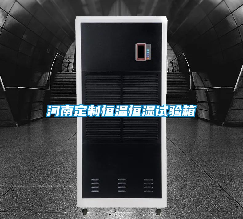河南定制恒溫恒濕試驗(yàn)箱