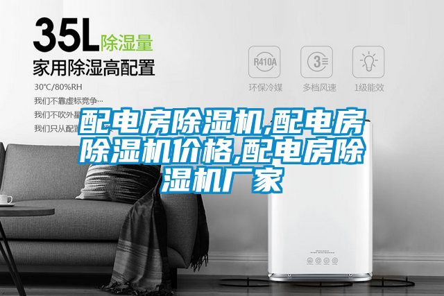 配電房除濕機(jī),配電房除濕機(jī)價格,配電房除濕機(jī)廠家