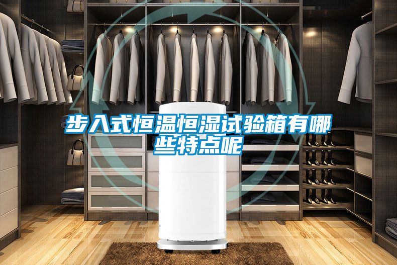 步入式恒溫恒濕試驗(yàn)箱有哪些特點(diǎn)呢