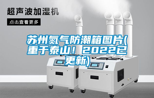 蘇州氮氣防潮箱圖片(重于泰山！2022已更新)