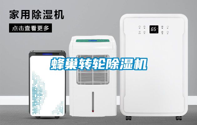 蜂巢轉(zhuǎn)輪除濕機(jī)