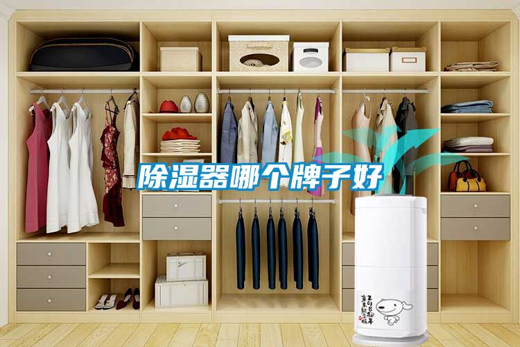 除濕器哪個(gè)牌子好