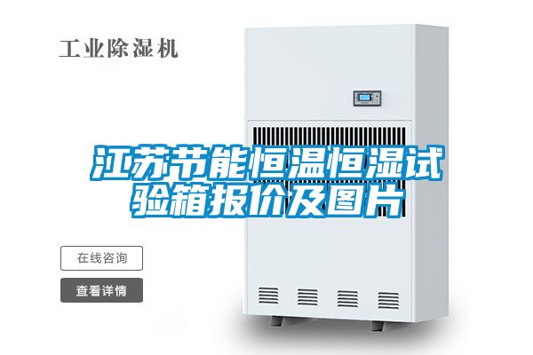 江蘇節能恒溫恒濕試驗箱報價及圖片