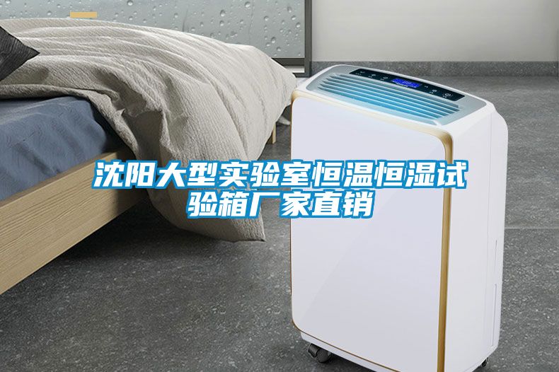 沈陽(yáng)大型實(shí)驗(yàn)室恒溫恒濕試驗(yàn)箱廠家直銷