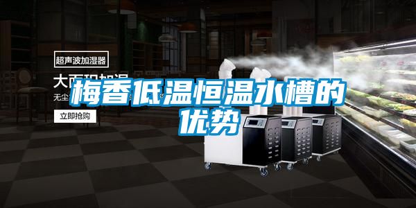 梅香低溫恒溫水槽的優勢