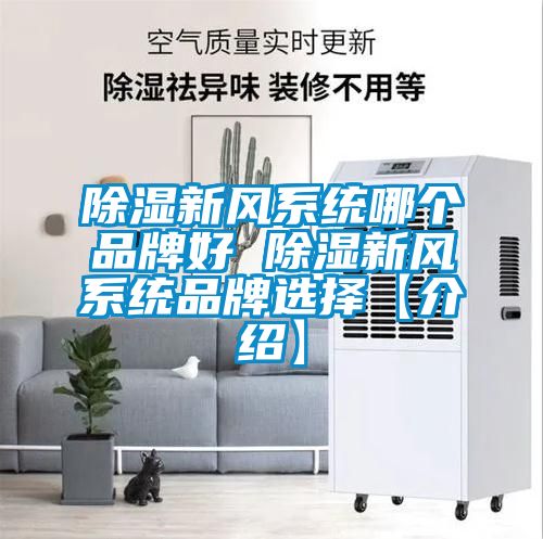 除濕新風(fēng)系統(tǒng)哪個品牌好 除濕新風(fēng)系統(tǒng)品牌選擇【介紹】